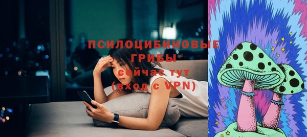 PSILOCYBIN Абинск